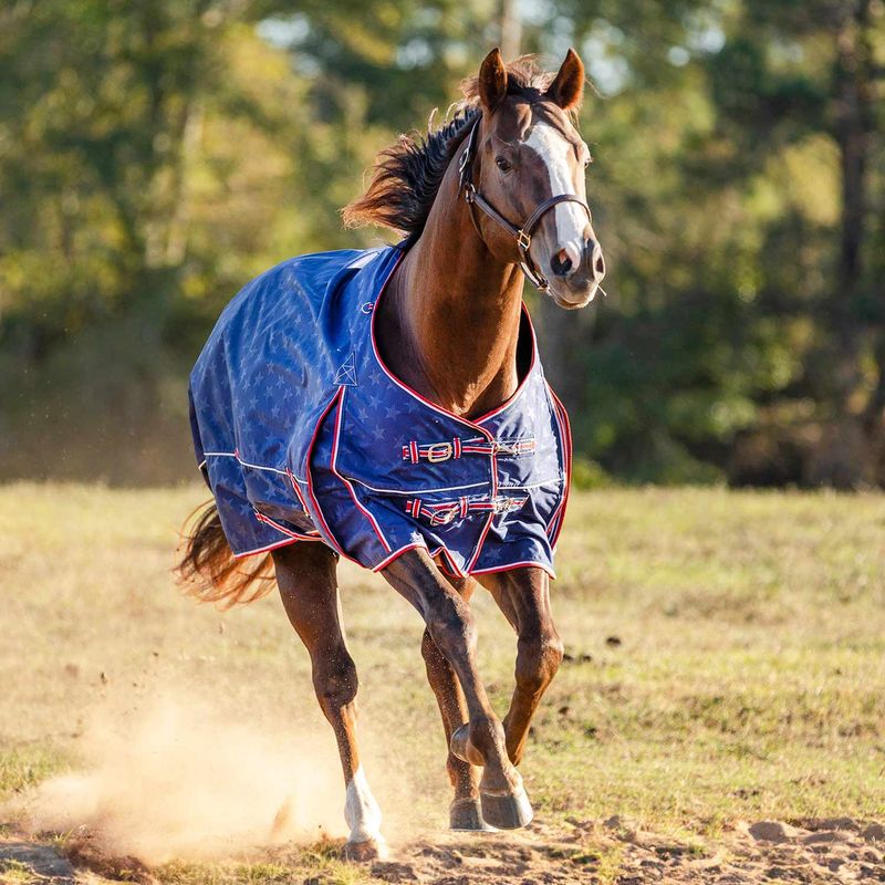 Jeffers Poplar Head Origin 600D Turnout Blanket, 240g, Allegiance for