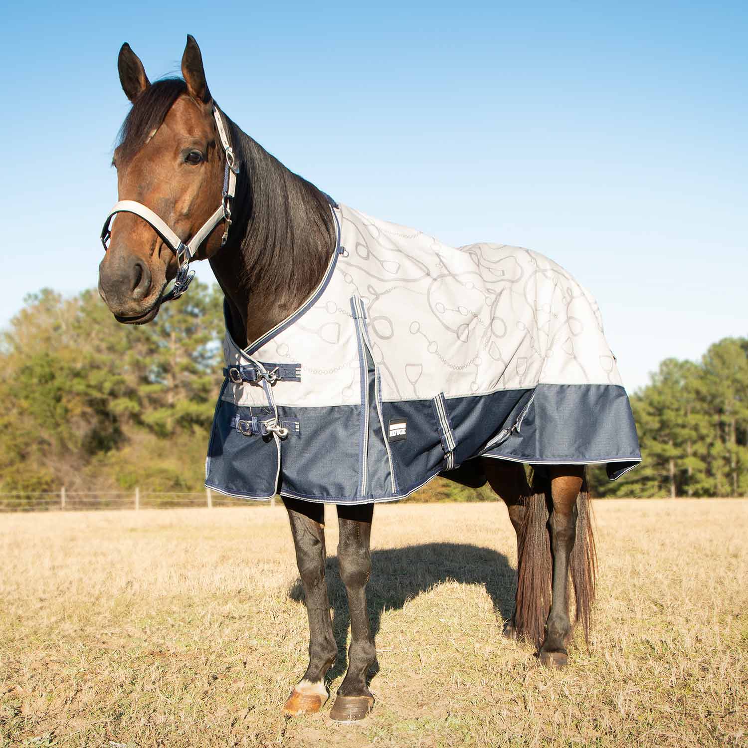 Jeffers Economy 600D Royal Blue/Teal Plaid Horse Blanket, 240g