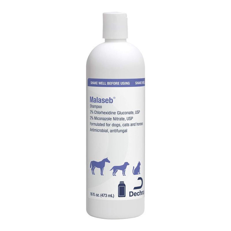 Malaseb Shampoo, 16 oz for dogs, cats and horses Jeffers