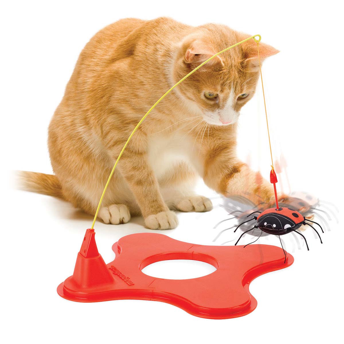 Magnetic best sale cat toy