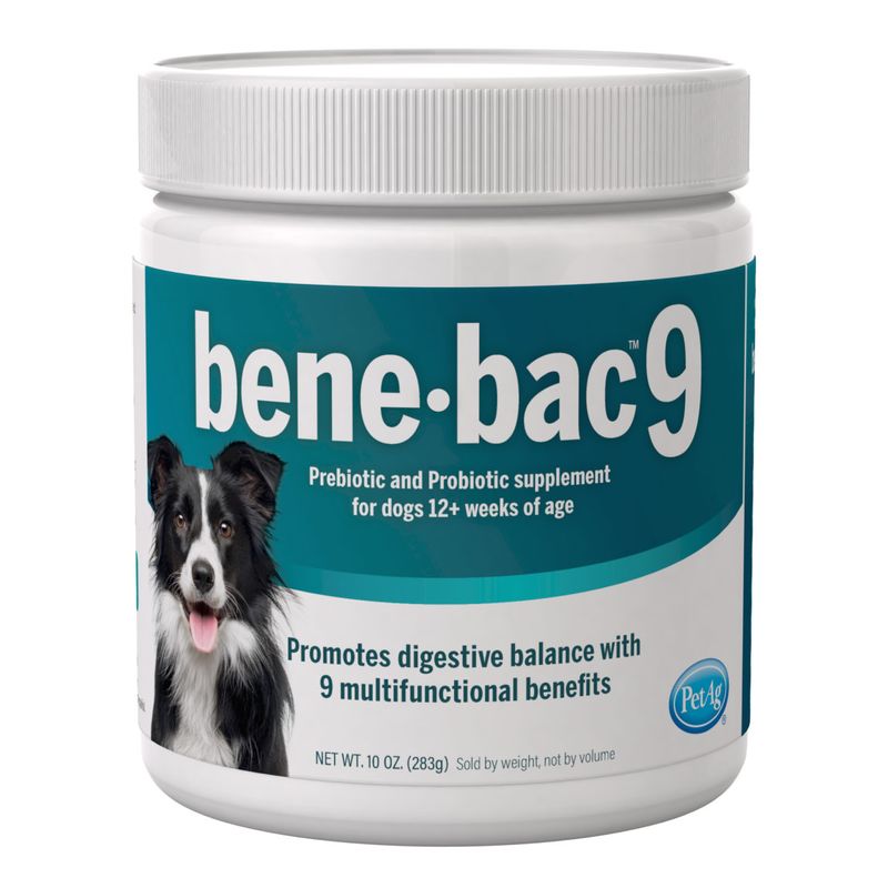 Bene-Bac 9 in 1 Dog Powder, 10 oz by Pet-Ag - Jeffers