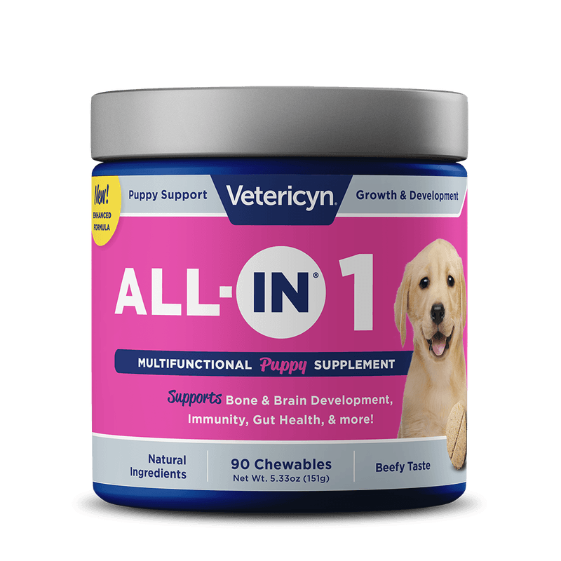 Supplementing puppies hotsell with formula