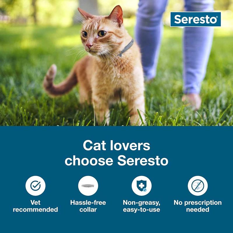 Seresto Flea Collar for Cats Jeffers