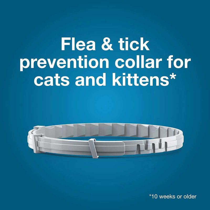 Seresto-Flea-Tick-Collar-for-Cats