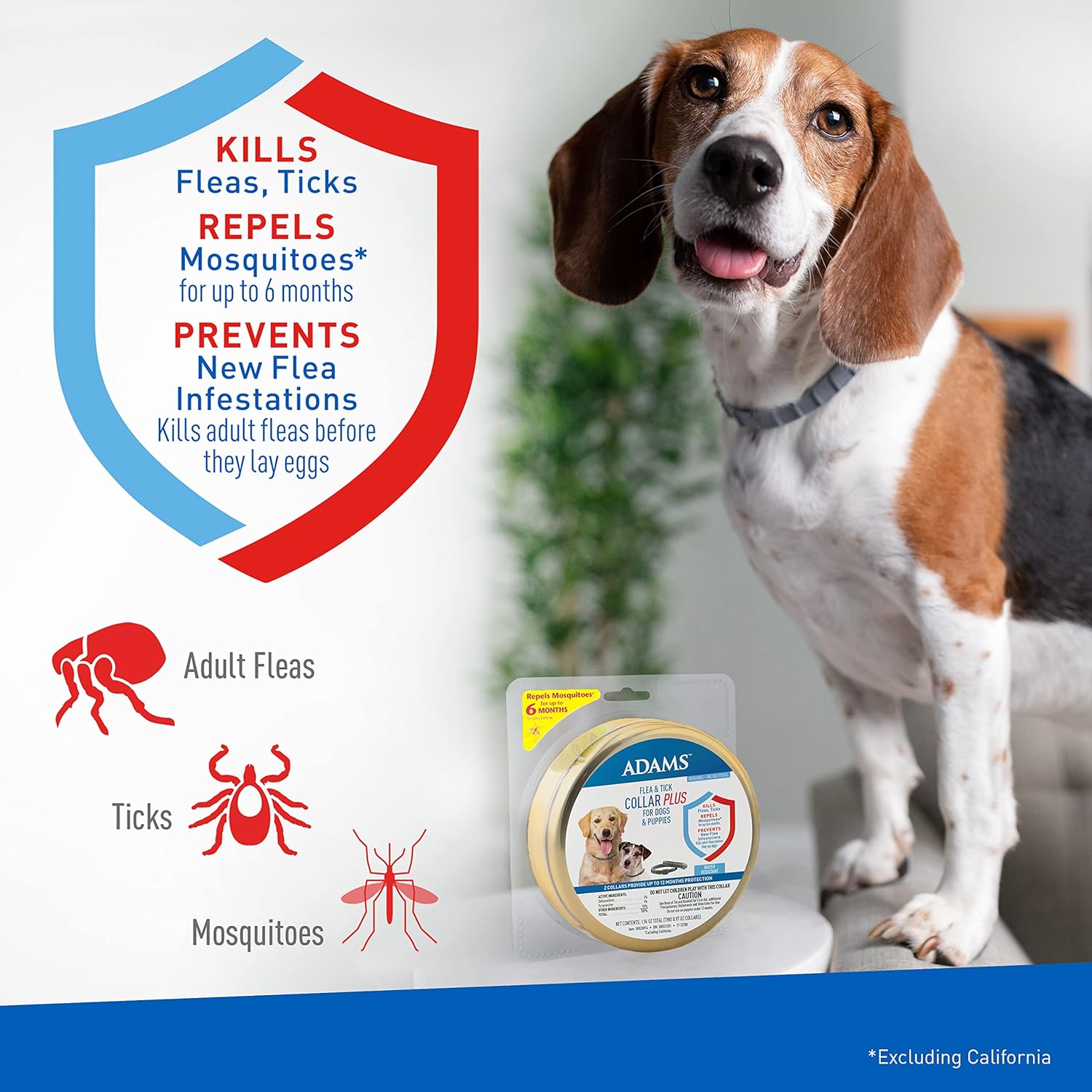 Dog flea tick store and mosquito collar