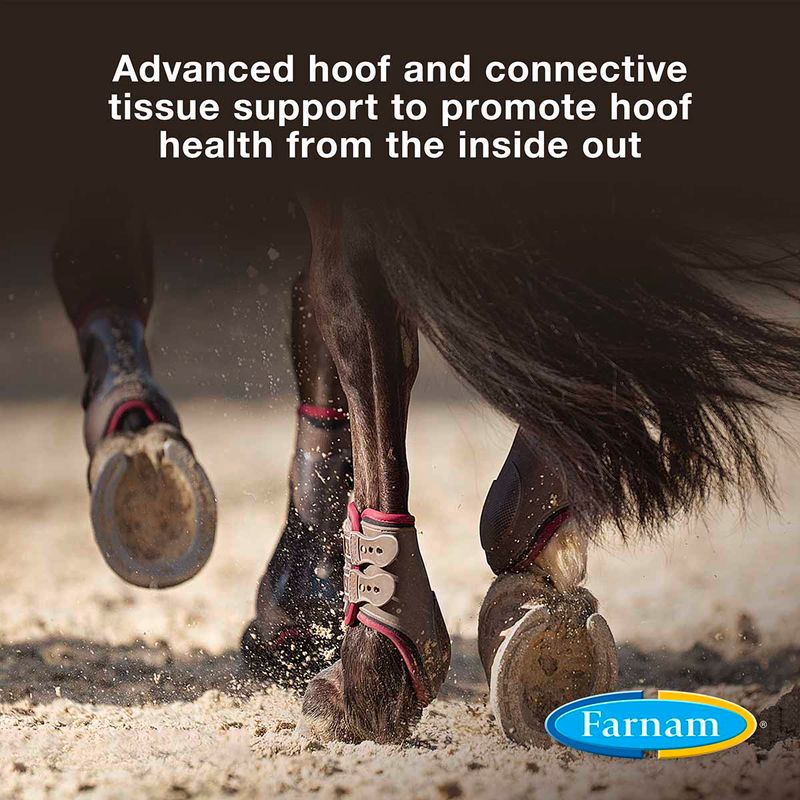 7.5-lb-Extra-Strength-Hoof---Connective-Tissue-Supplement