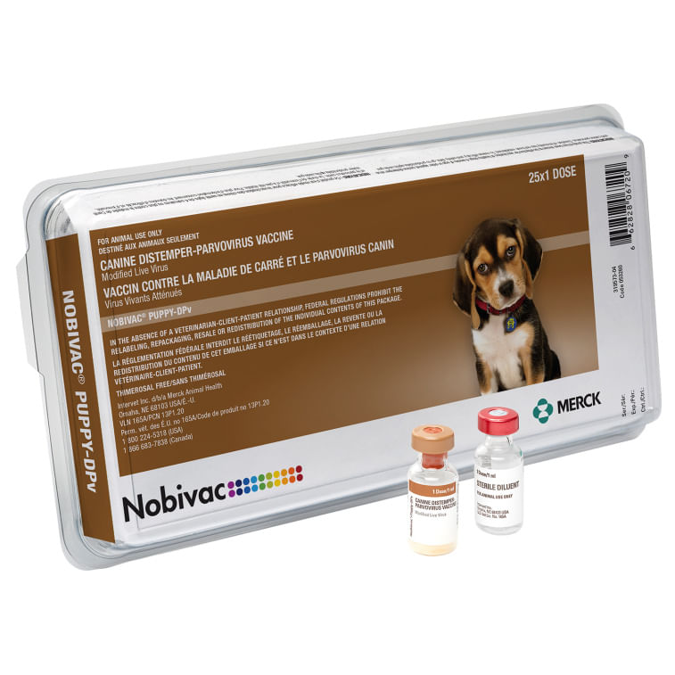 Parvo 2024 vaccine online