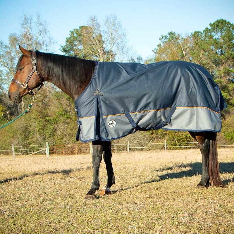 Jeffers Economy Plus 1200 Denier Turnout Blanket with Standard Neck