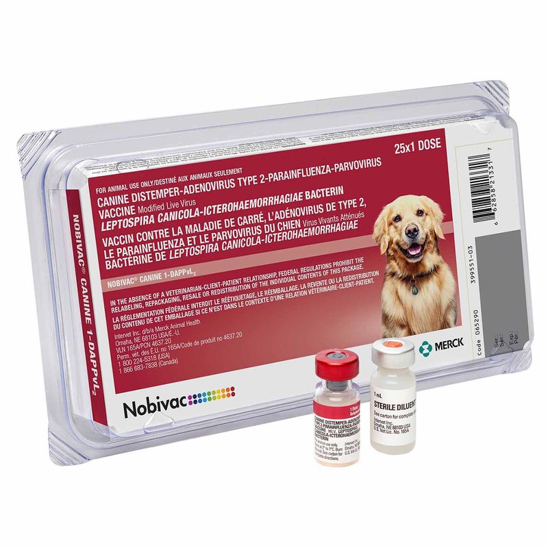 Da2plp vaccine for hot sale dogs