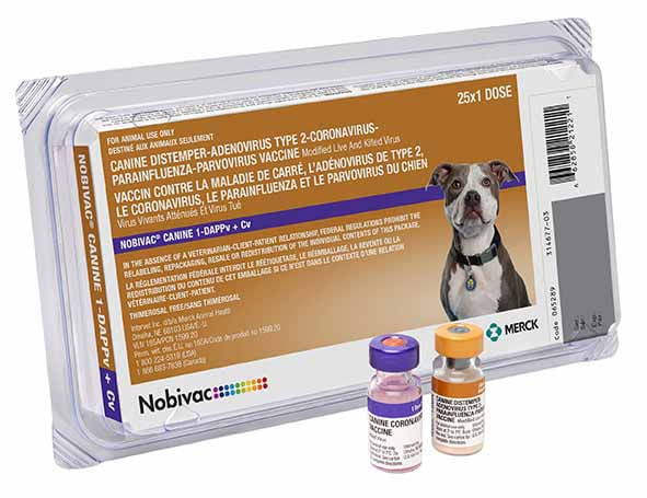 Nobivac store dog vaccine