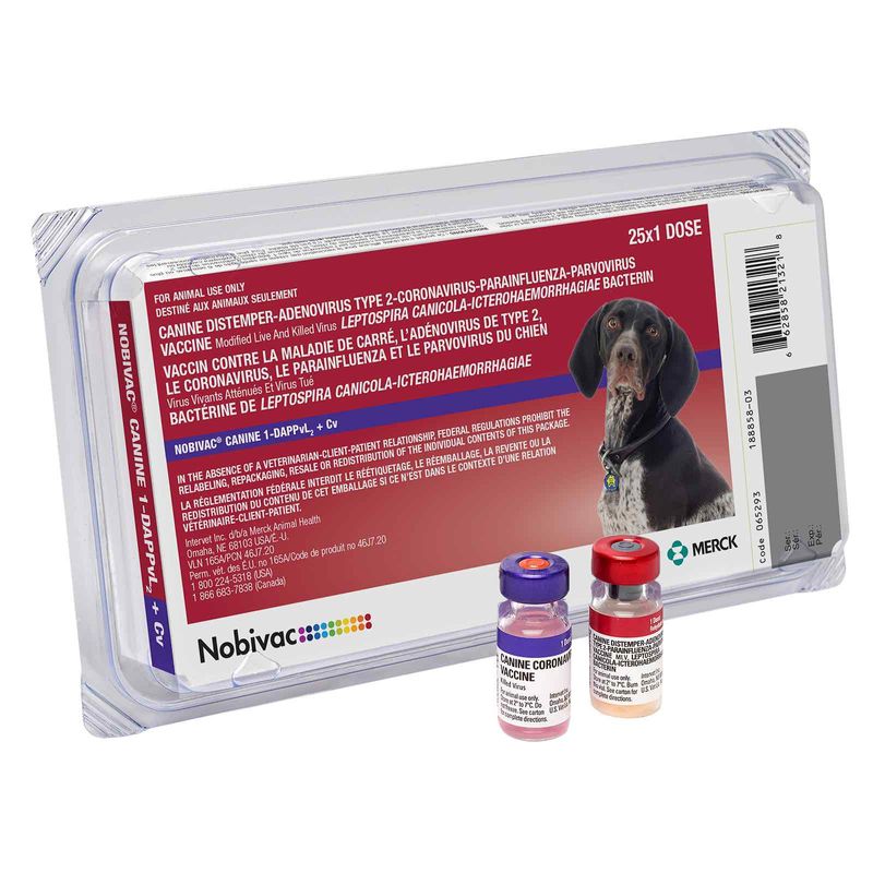 Da2pl vaccine for store dogs