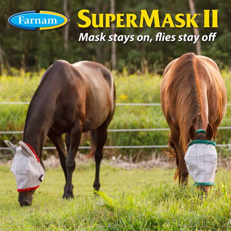 New-SuperMask-II-without-Ears