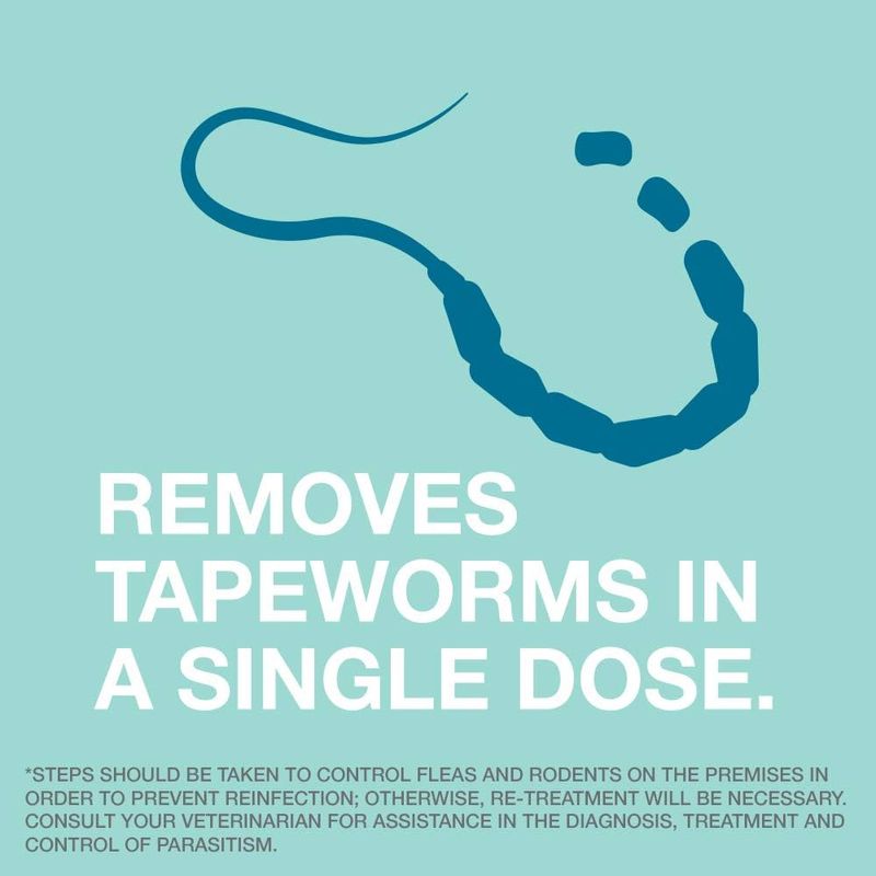 Tapeworm dewormer hot sale for dogs