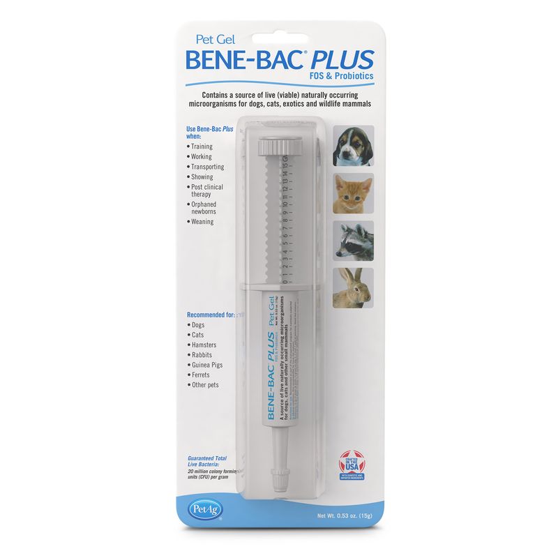 BeneBac-Plus-Gel-Syringe