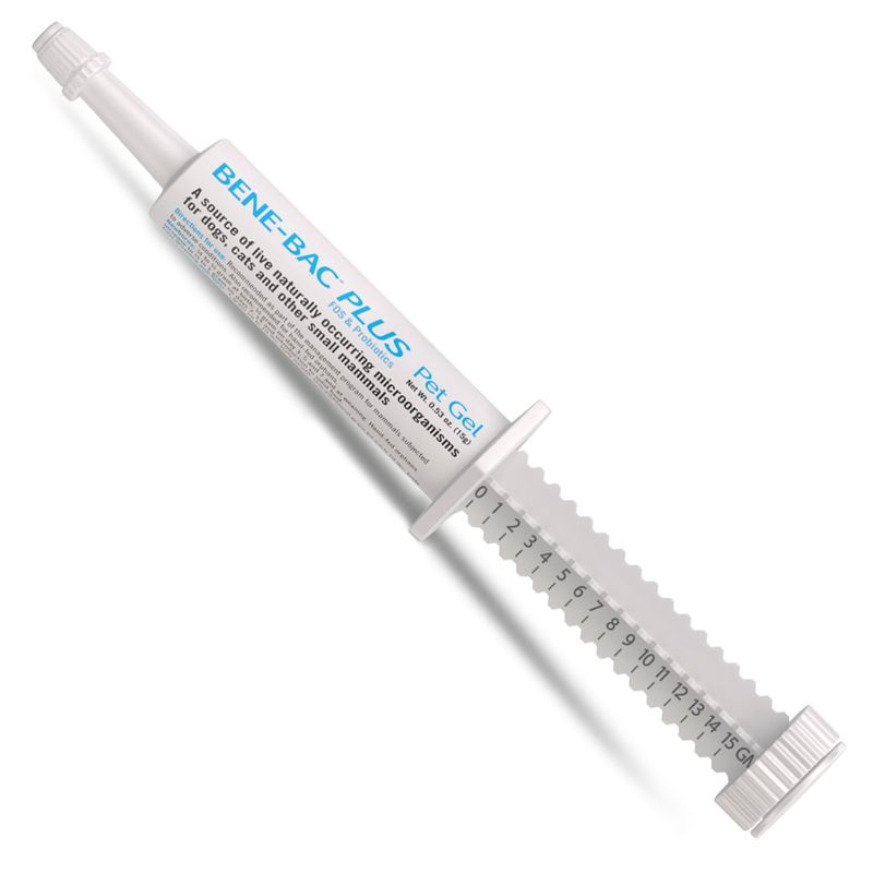 BeneBac-Plus-Gel-Syringe