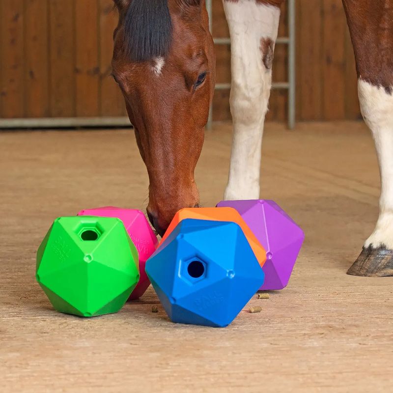 Ball-Feeder-Horse-Toy