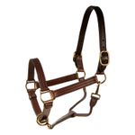 Berlin-1--Track-Leather-Halter-Yearling-size