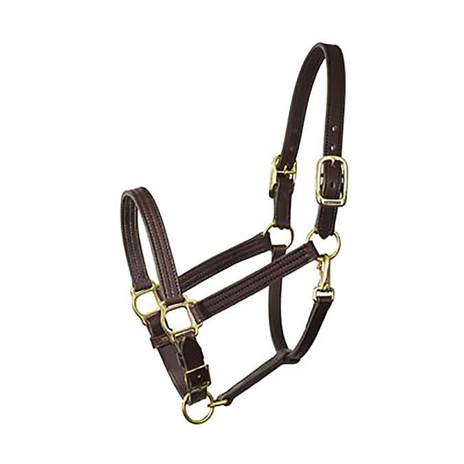 Perri-s-Leather-Halters-and-Leads