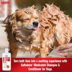 Sulfodene-Medicated-Shampoo---Conditioner