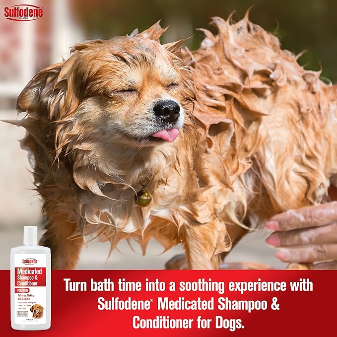 Sulfodene Medicated Dog Shampoo & Conditioner for Flaking and Itch Relief Jeffers