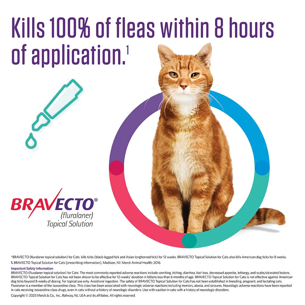 Rx BRAVECTO Topical Feline Jeffers