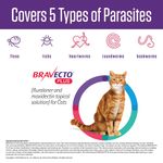 BRAVECTO-PLUS_Parasites