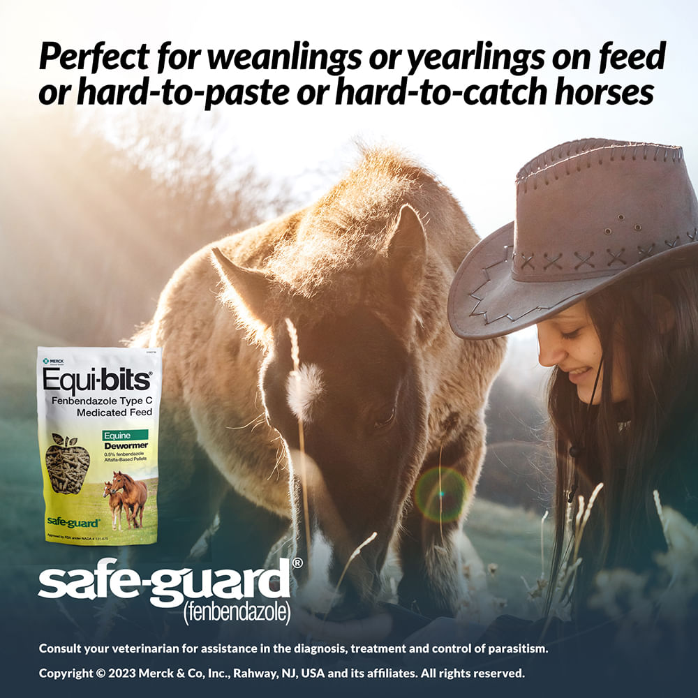 Safe-Guard Equi-Bits Horse Deworming Pellets - Jeffers