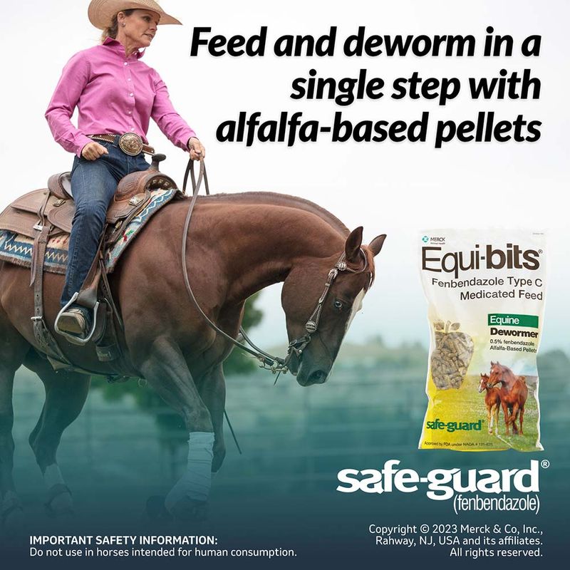 SafeGuard EquiBits Horse Deworming Pellets Jeffers