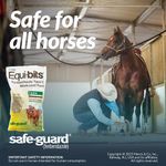 SAFE-GUARD-EQUI-BITS_Safe