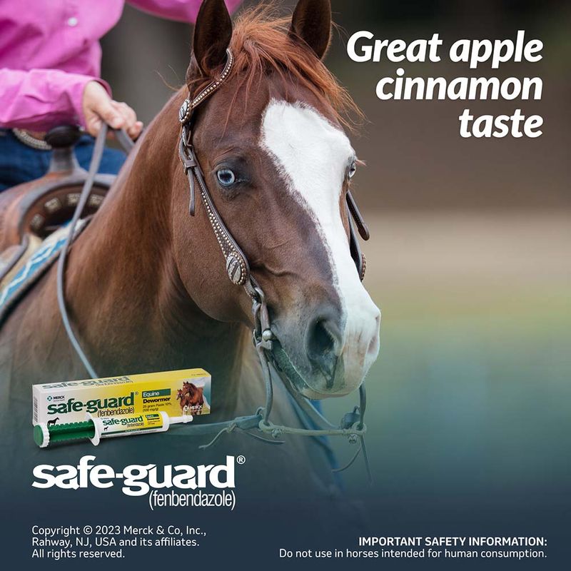 SAFE-GUARD_25gm_Taste