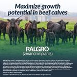 4198_Ralgro_eCommerce_Growth