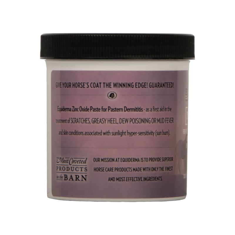 Equiderma Zinc Oxide Paste Jeffers