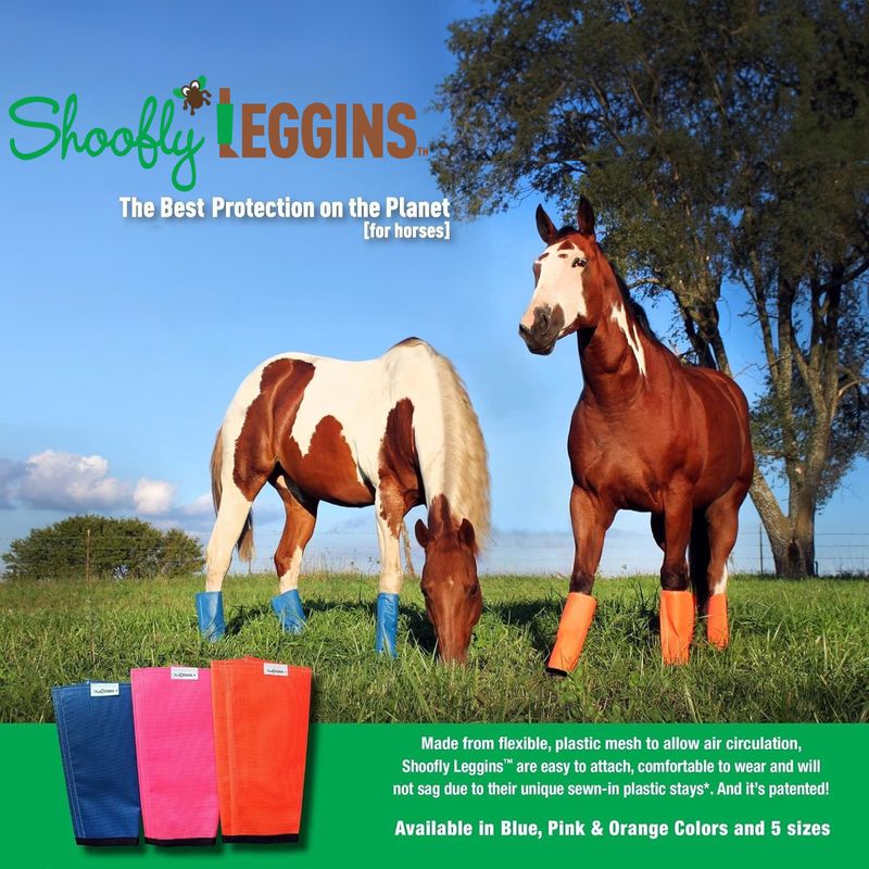ShooFly-Leggins-for-Medium-Horse-4-pack