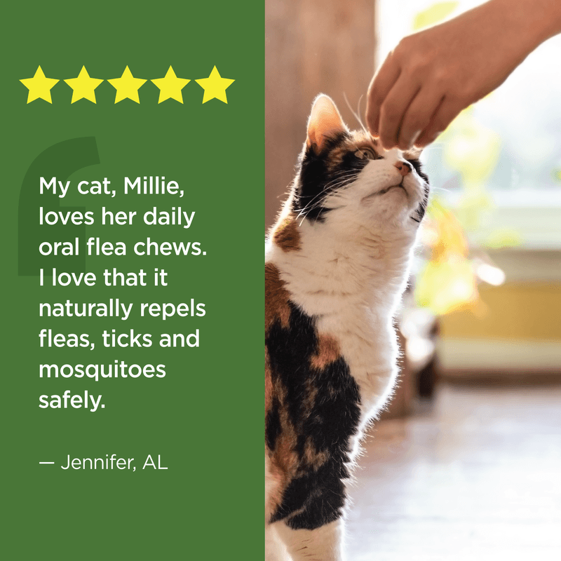 Vetality Naturals Oral Flea & Tick Chews for Cats, 120 ct Jeffers