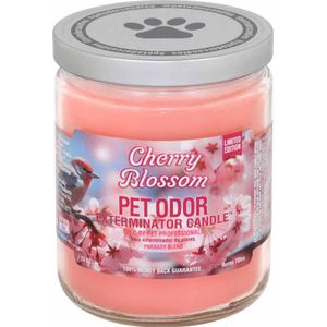 Pet Odor Exterminator Candle, Cherry Blossom, 13oz