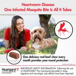 Heartgard-Plus-for-0-25-lb-Dogs-INFO-3