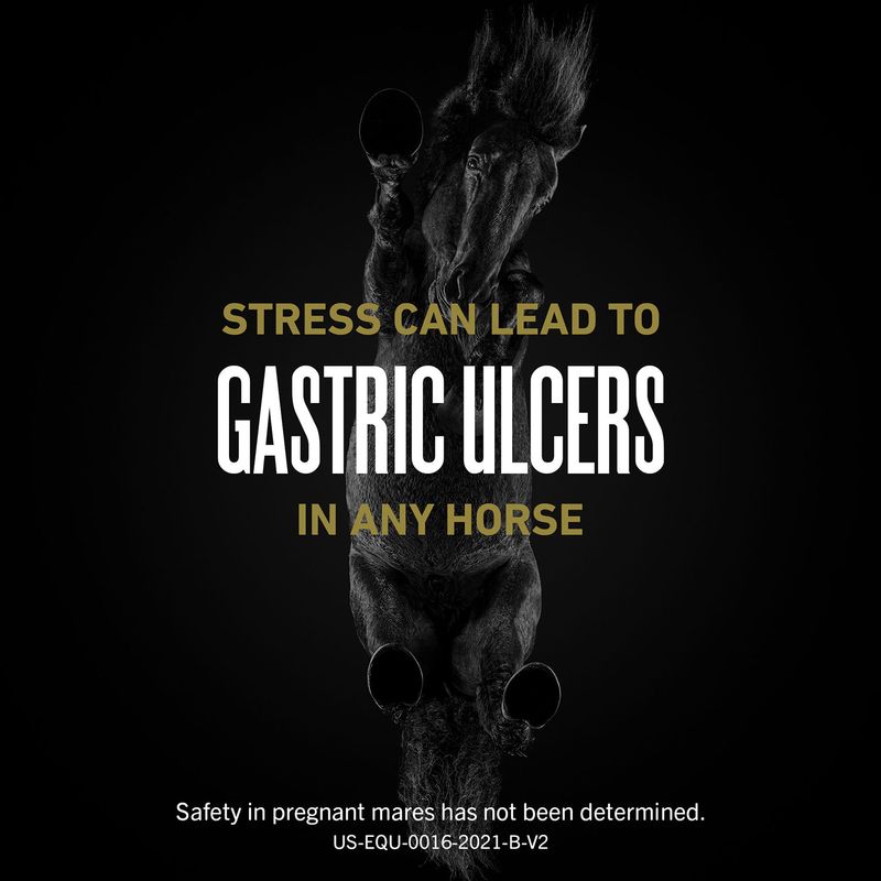 UlcerGard-Oral-Paste-for-Horses-1-syringe