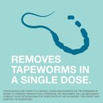 Bayer-Tapeworm-Cat-Dewormer-3-tablets