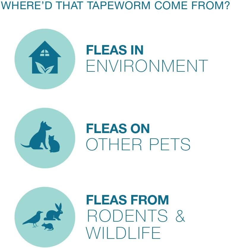 Elanco Expert Care Tapeworm Dewormer for Cat 3 tablets Jeffers