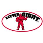 LittleGiant_Logo