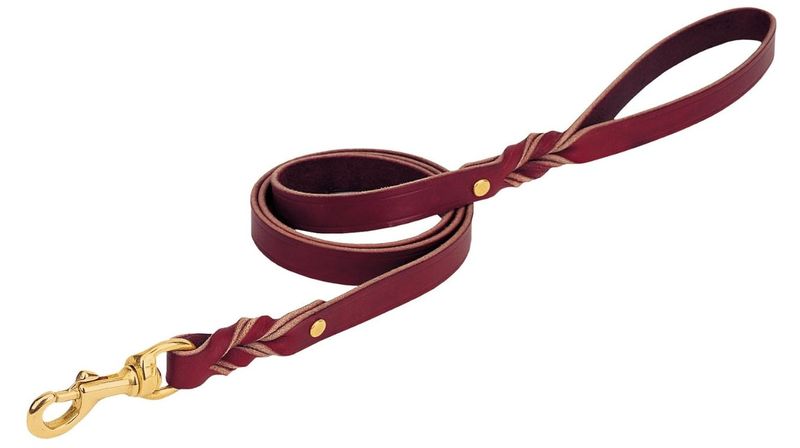 Weaver-Heritage-Twisted-Latigo-Leather-Leash-3-4--x-6-