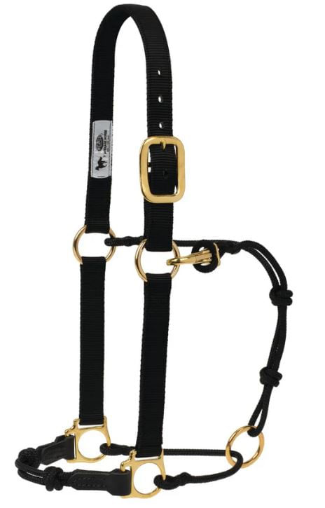 Horseman's Halter by Weaver - Jeffers