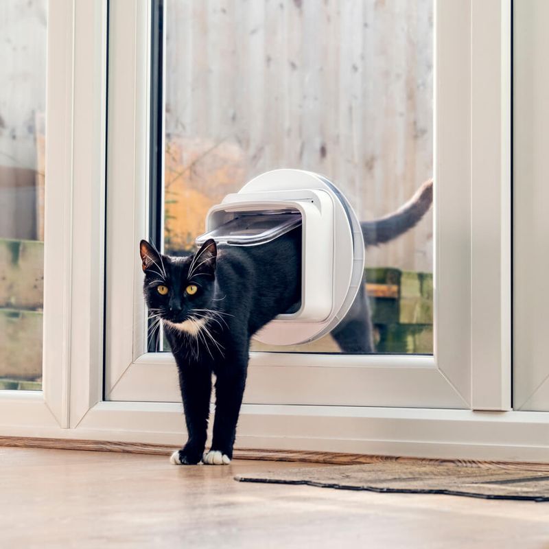 Sure-Petcare-Cat-Flap-Connect