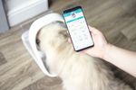 Sure-Petcare-Pet-Feeder-Connect