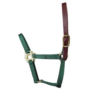 Valhoma Foal & Yearling Premium Breakaway Nylon Halter with Leather Crown