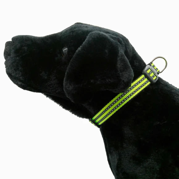 Adjustable-Reflective-Dog-Collar-Assorted-Colors-15--18.9-