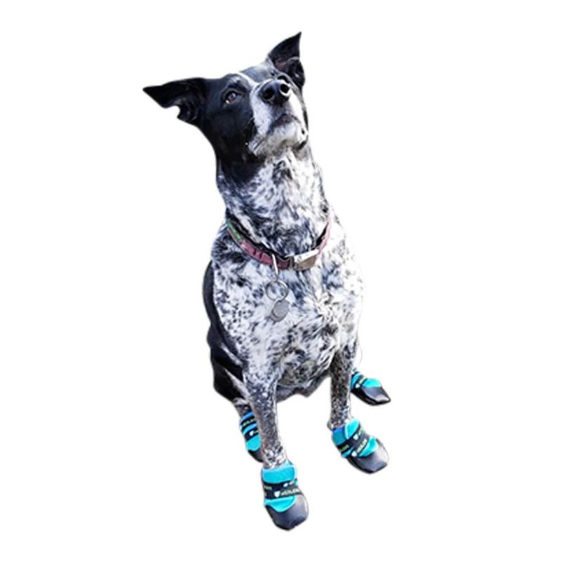 Healers-Urban-Walker-Dog-Boots-Pair-Teal-XSmall