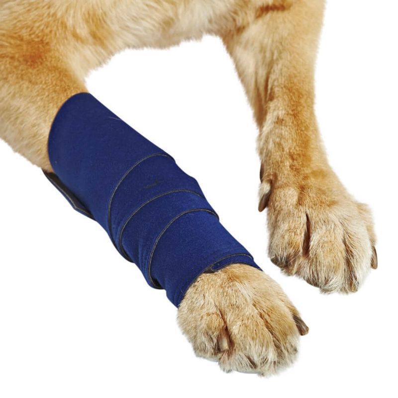 Healers-Leg-Wrap-for-Dogs-Small