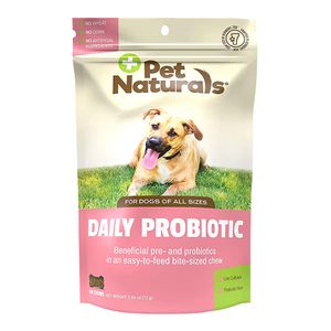 Pet Naturals Daily Probiotic Chew for Dogs, 60ct