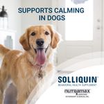 Solliquin-Soft-Chews-75-ct-for-Large-Dogs